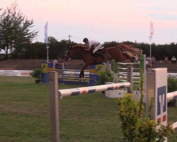 Reitturnier Baschütz bei Bautzen 2018