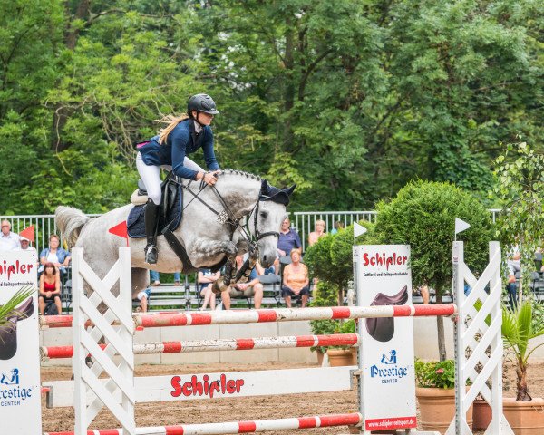 broodmare Jildou III (Oldenburg show jumper, 2008, from Casiro I)