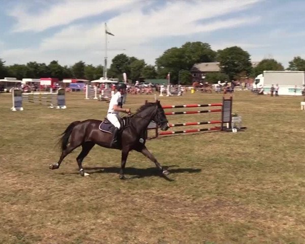 Reitturnier Ladelund 2018