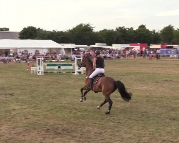 Reitturnier Ladelund 2018