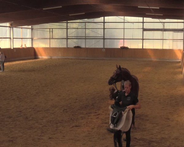 Reitturnier Herbern 2018
