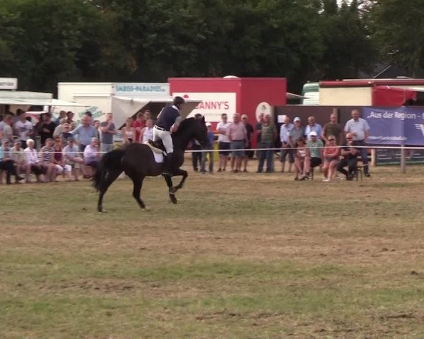 Reitturnier Ladelund 2018
