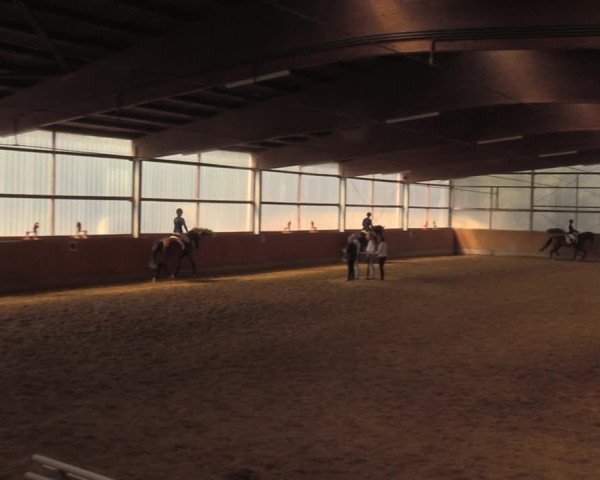 Reitturnier Herbern 2018