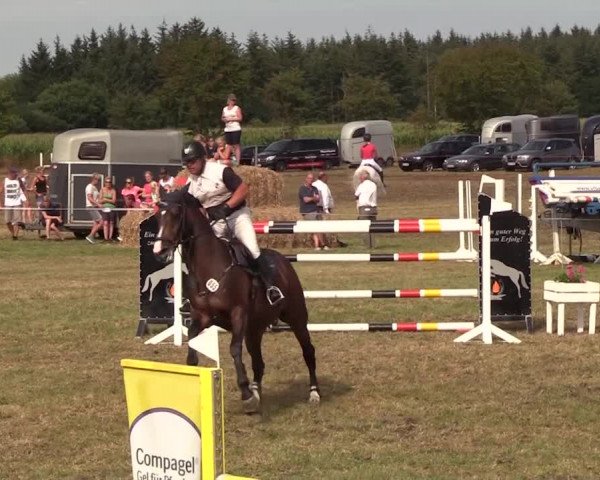 Reitturnier Ladelund 2018