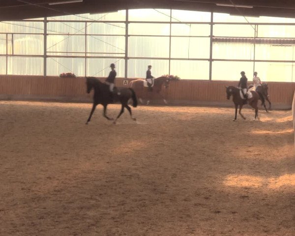 Reitturnier Herbern 2018