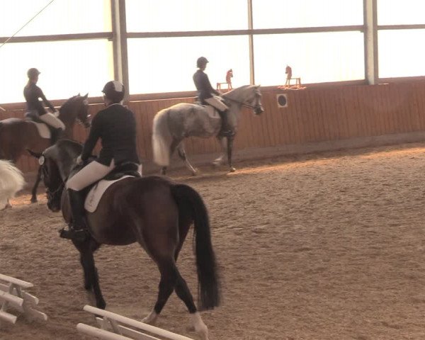 Reitturnier Herbern 2018