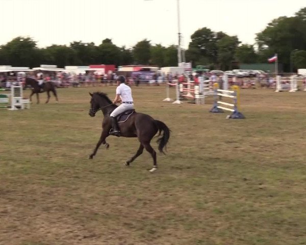 Reitturnier Ladelund 2018