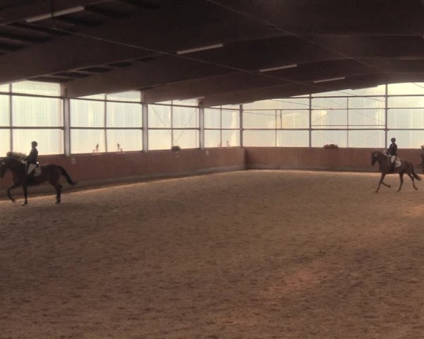Reitturnier Herbern 2018