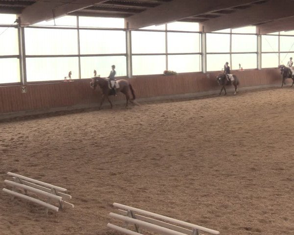 Reitturnier Herbern 2018