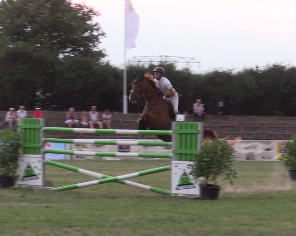 Reitturnier Baschütz bei Bautzen 2018