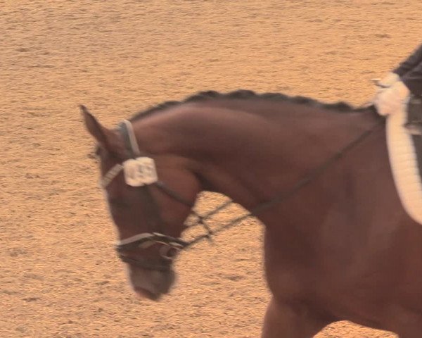 Reitturnier Herbern 2018