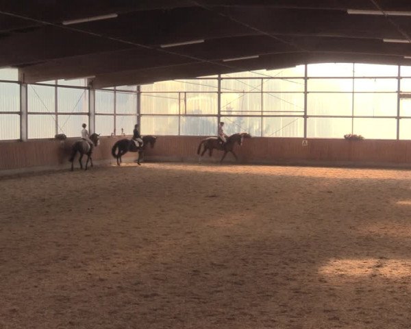 Reitturnier Herbern 2018