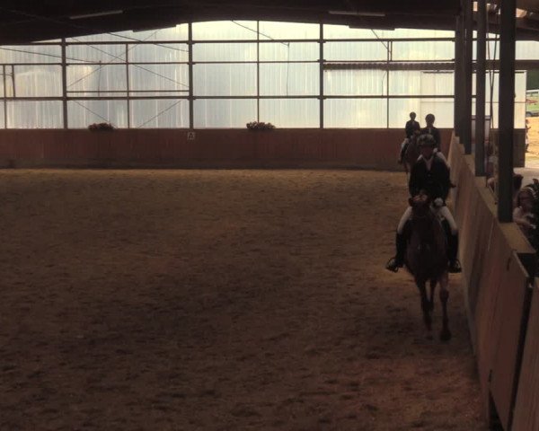 Reitturnier Herbern 2018