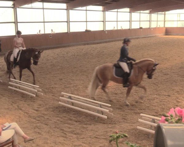Reitturnier Herbern 2018