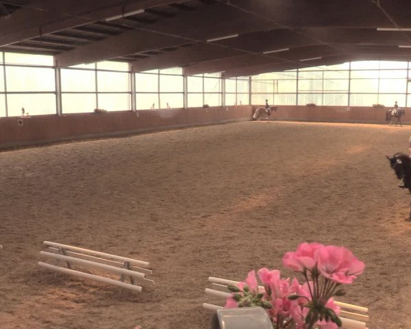 Reitturnier Herbern 2018