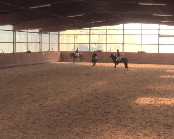 Reitturnier Herbern 2018