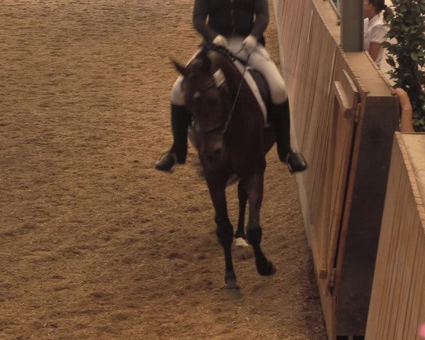 Reitturnier Herbern 2018