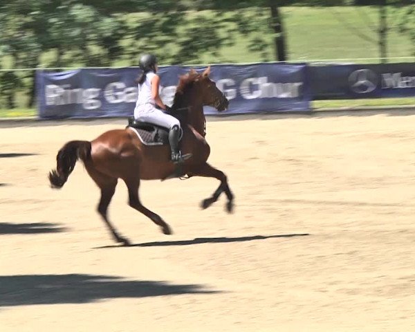 Summer Masters Maienfeld 2018