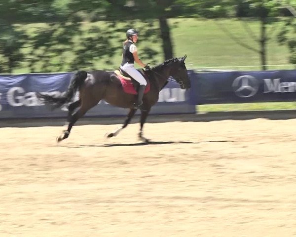 Summer Masters Maienfeld 2018