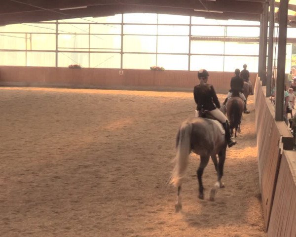 Reitturnier Herbern 2018