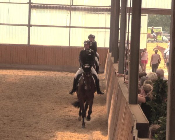 Reitturnier Herbern 2018