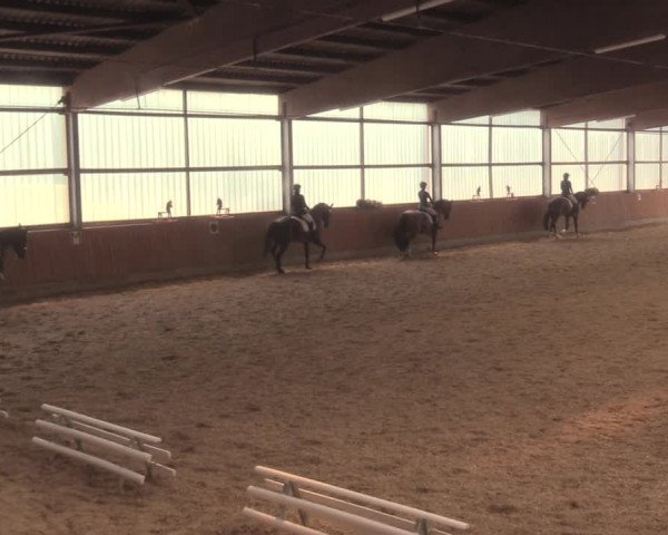 Reitturnier Herbern 2018