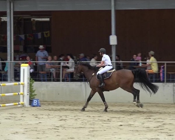 Schwyzer Pferdesporttage 2018