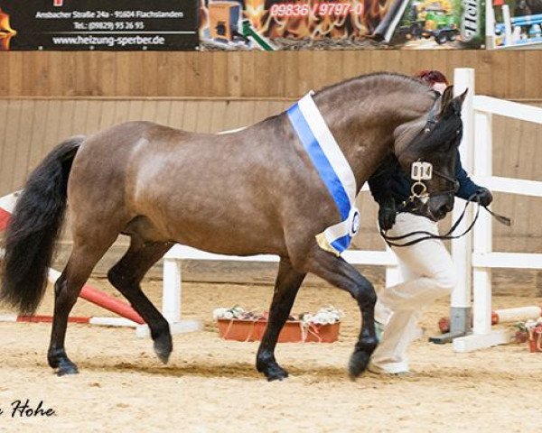 Deckhengst CK Totally Tucker (Mustang, 2007, von Hardluck)