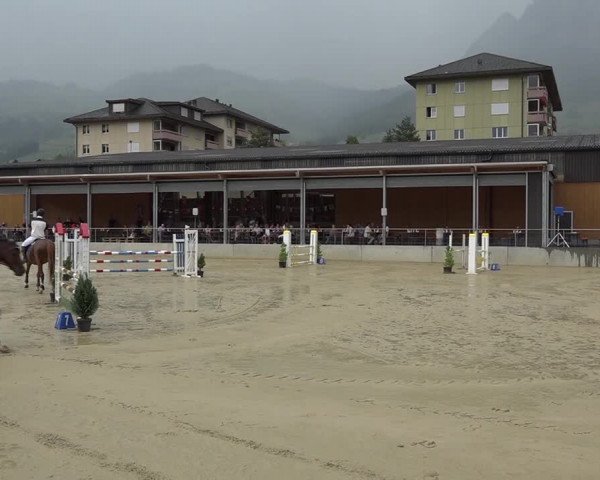Schwyzer Pferdesporttage 2018