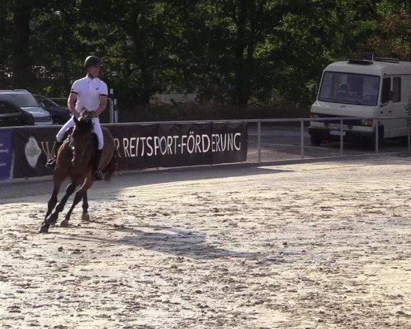 Reitturnier Olfen-Vinnum 2018
