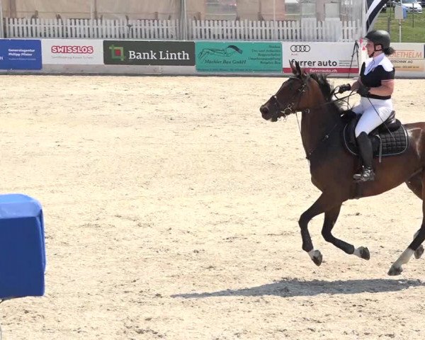 Pferdesporttage Galgenen 2018