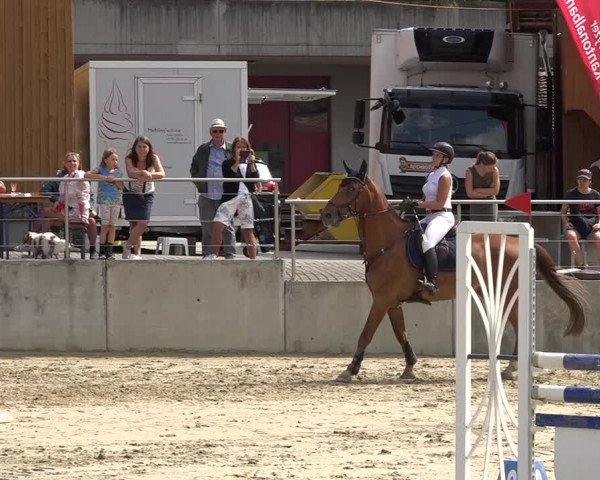 Schwyzer Pferdesporttage 2018