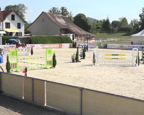Pferdesporttage Galgenen 2018
