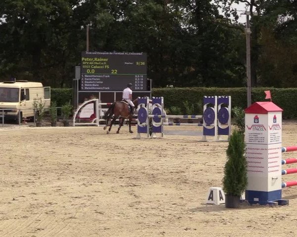 Reitturnier Olfen-Vinnum 2018