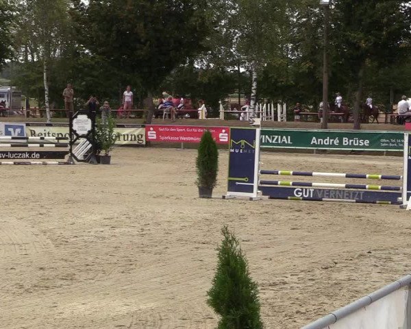 Reitturnier Olfen-Vinnum 2018