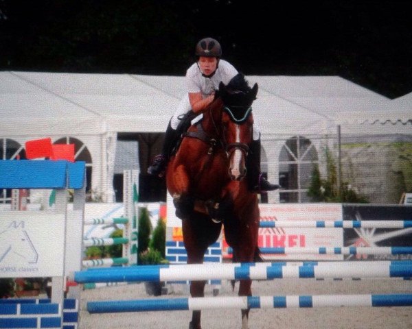 Zuchtstute Clementine 49 (Westfale, 2011, von Coronas 2)