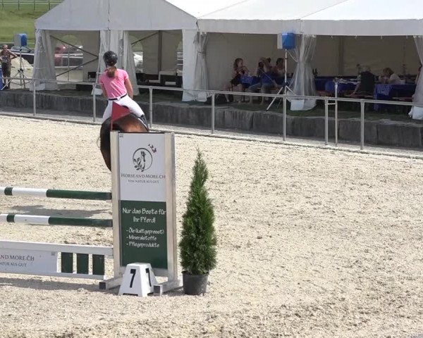 Pferdesporttage Galgenen 2018