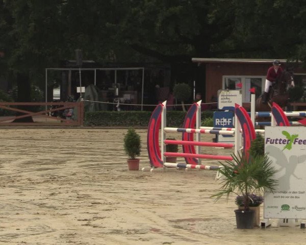 Equus Colonius - Reitanlage Brüse Köln 2021