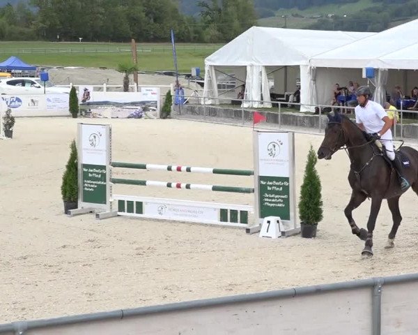 Pferdesporttage Galgenen 2018