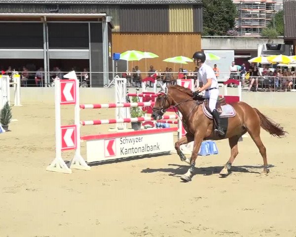 Schwyzer Pferdesporttage 2018