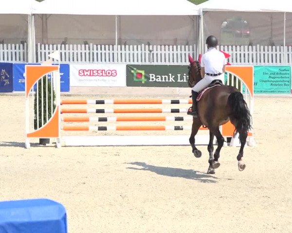 Pferdesporttage Galgenen 2018