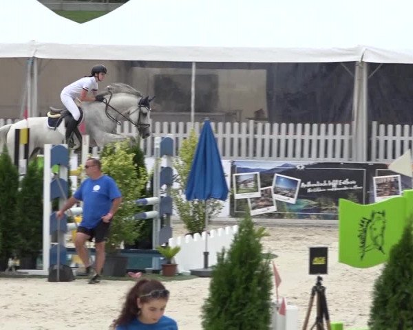 Pferdesporttage Galgenen 2018