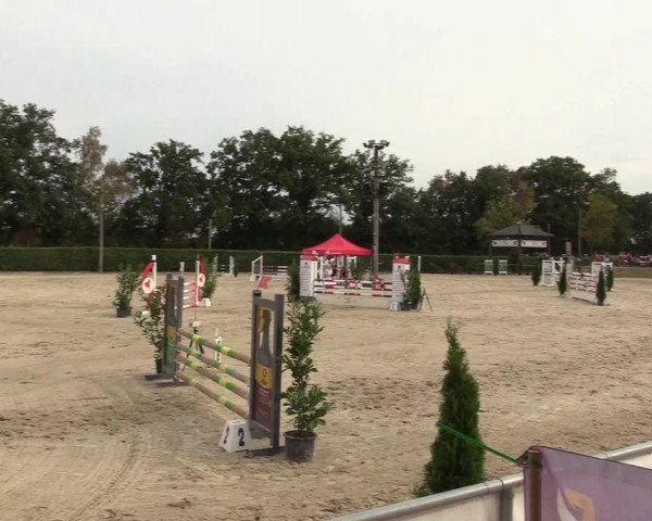 Reitturnier Olfen-Vinnum 2018