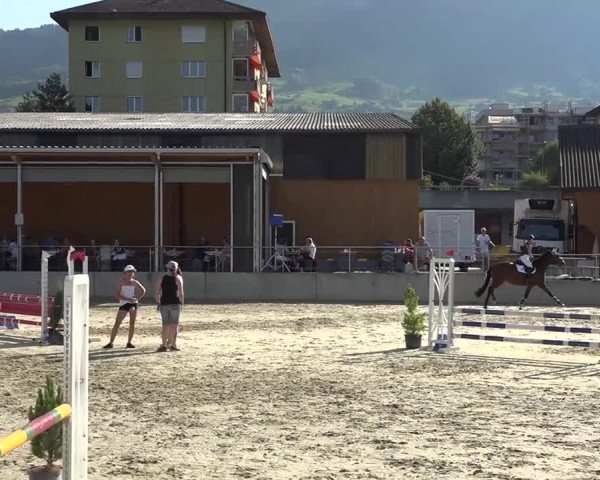 Schwyzer Pferdesporttage 2018