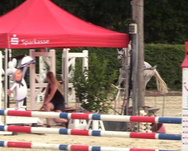 Reitturnier Olfen-Vinnum 2018