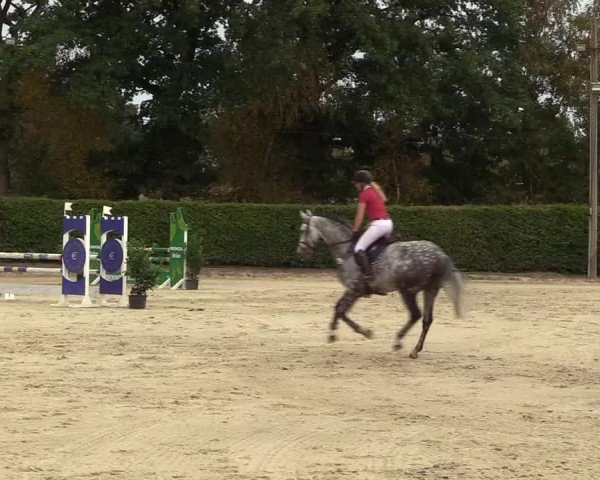 Reitturnier Olfen-Vinnum 2018
