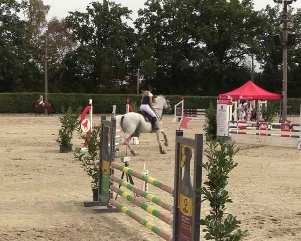 Reitturnier Olfen-Vinnum 2018
