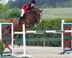 jumper Aurena (KWPN (Royal Dutch Sporthorse), 2005, from Padinus)