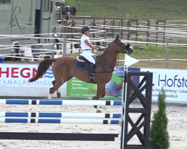 Pferdesporttage Galgenen 2018