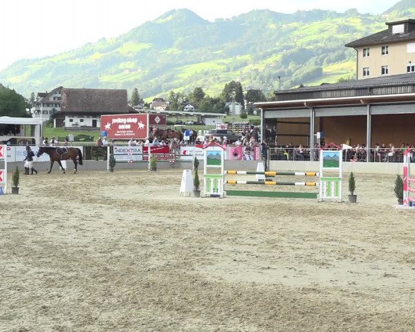 Schwyzer Pferdesporttage 2018